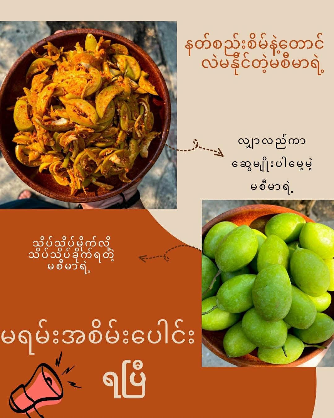 MSM မစီမာ မရမ်းအစိမ်းပေါင်း (၁၀ ထုတ်)