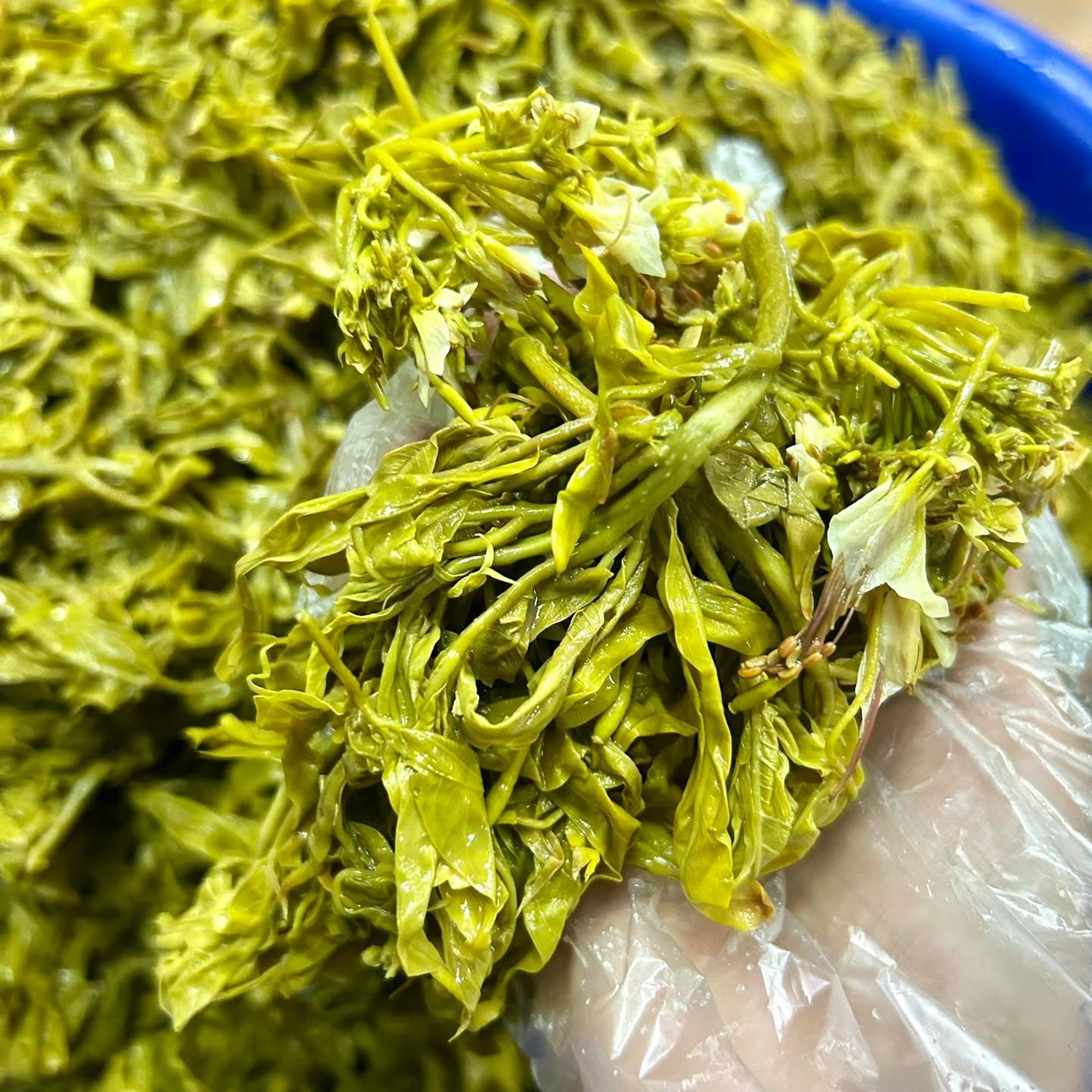 HH ကတက်ချဉ်/ခံတတ်ချဉ် 160g