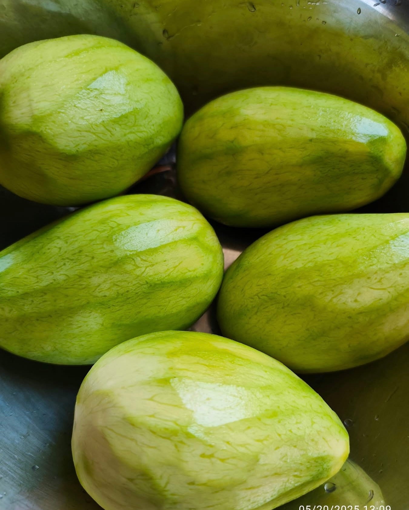 Fresh Mango သရက်သီးစိမ်း 1LB