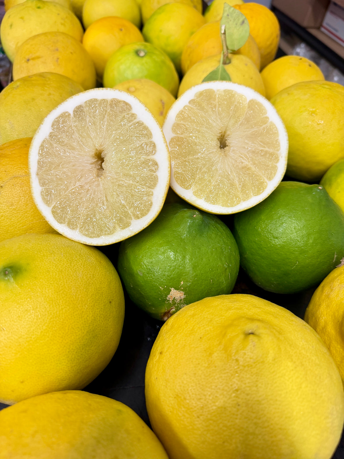 Amara မြန်မာ ရှောက်သီး (Citrus)