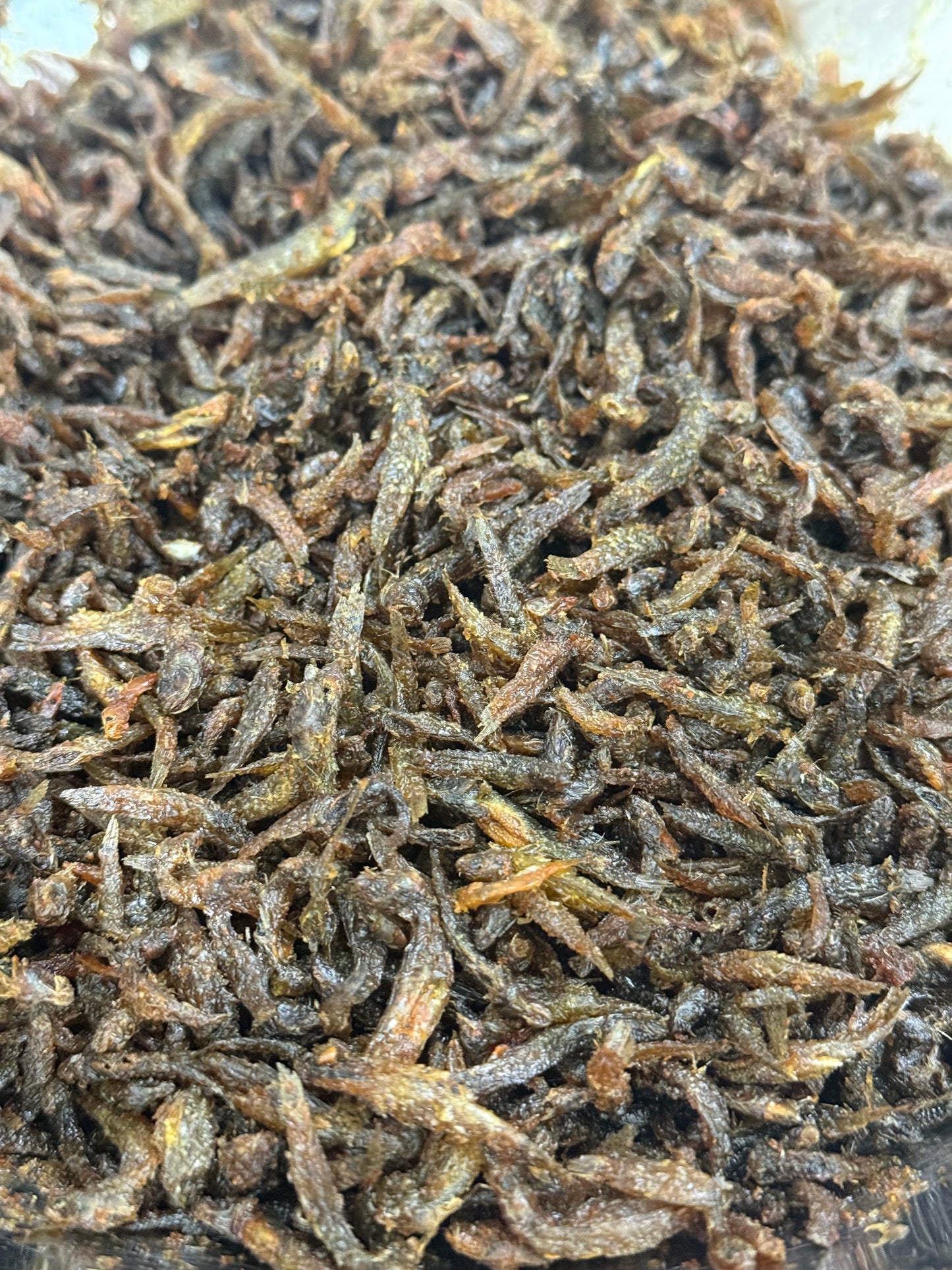 Gudgeon Fish ကပ်သပိုးငါး