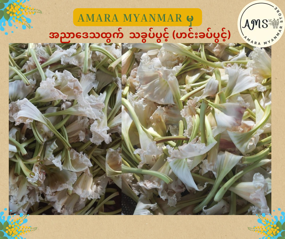 Amara သခွပ်ပွင့်ခြောက် (ခေါ်) ဟင်းခတ်ပွင့်