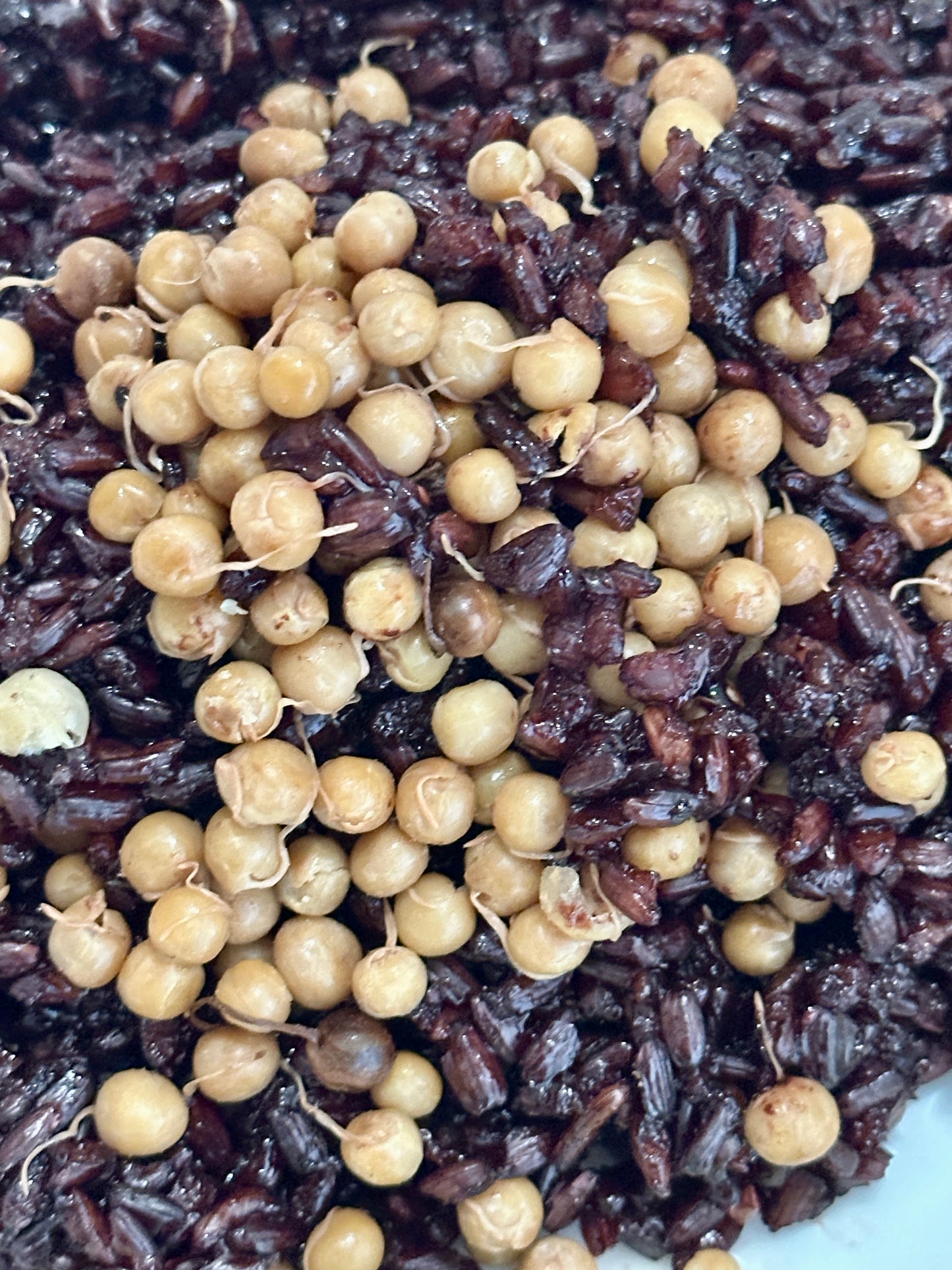 Thai Black Glutinous Rice ငချိတ်ဆန်