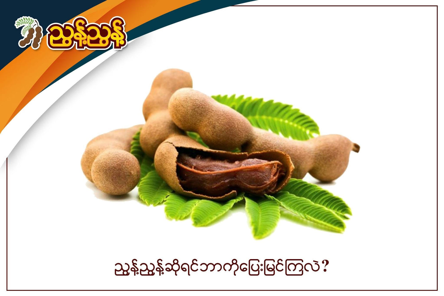 NN ညွန့်ညွန့် အစေ့လွတ်ဆေးမန်ကျည်း (ချိုချဉ်စပ်) 10 ထုတ်ပါ