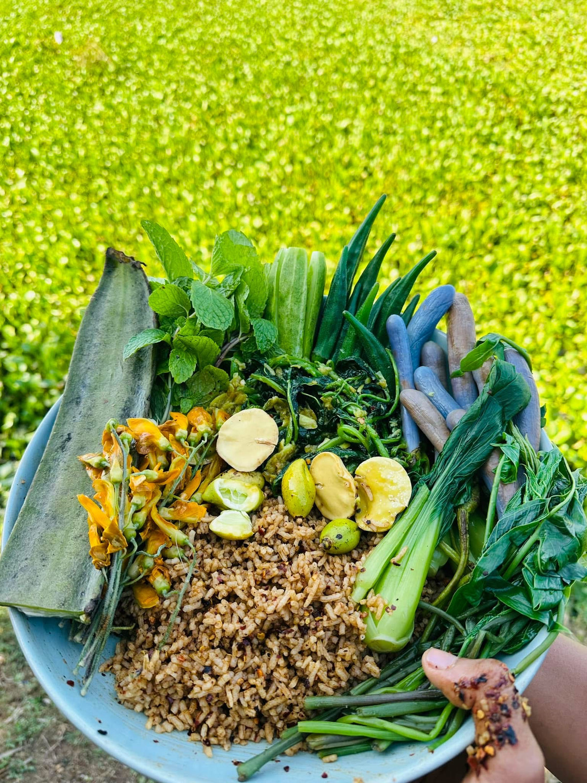 ACA အောင်ချမ်းအေး ရေချိုငါးဇင်ရိုင်း အသင့်စား ငါးပိရည်ကျို 350g