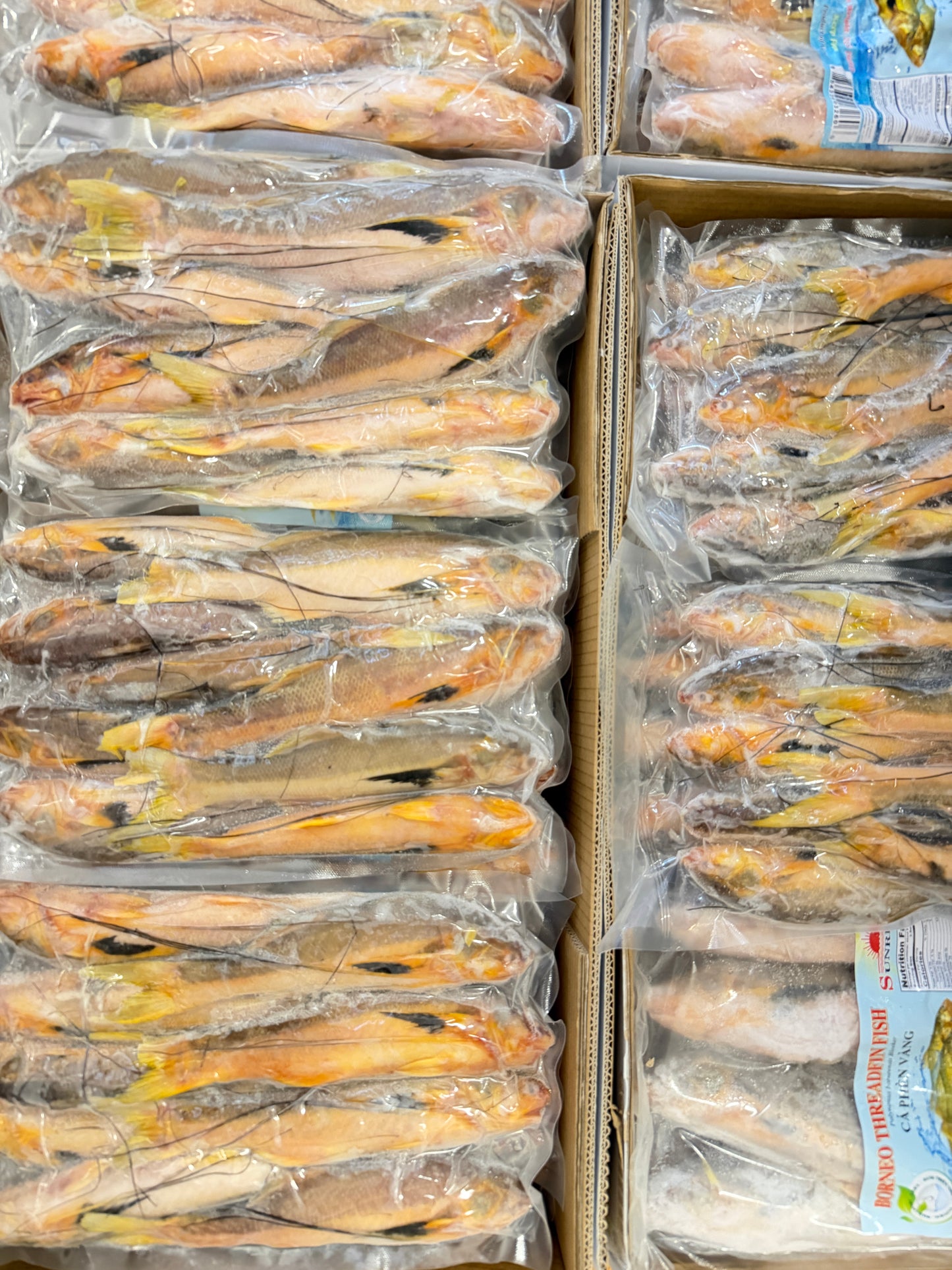 Goat Fish ငါးပုဏ္ဏား 2LB/Pack (အထုတ်ကြီး)