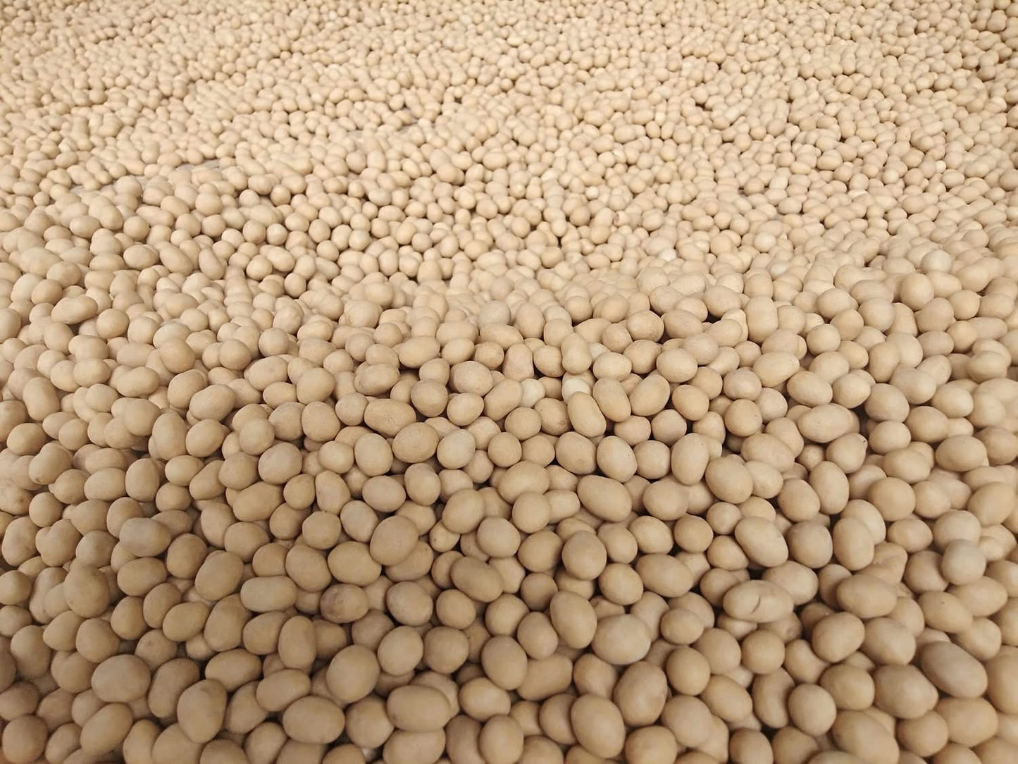 Amara မြေပဲကြက်ဥ 200g