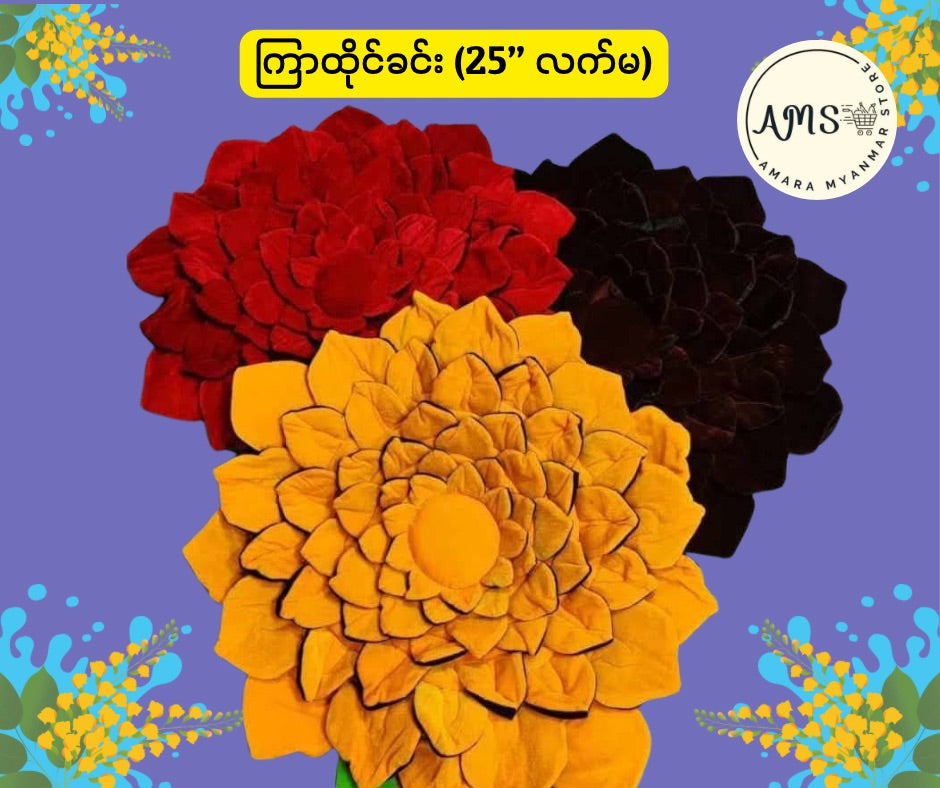 BD ကြာထိုင်ခင်း (၂၅ လက်မ)