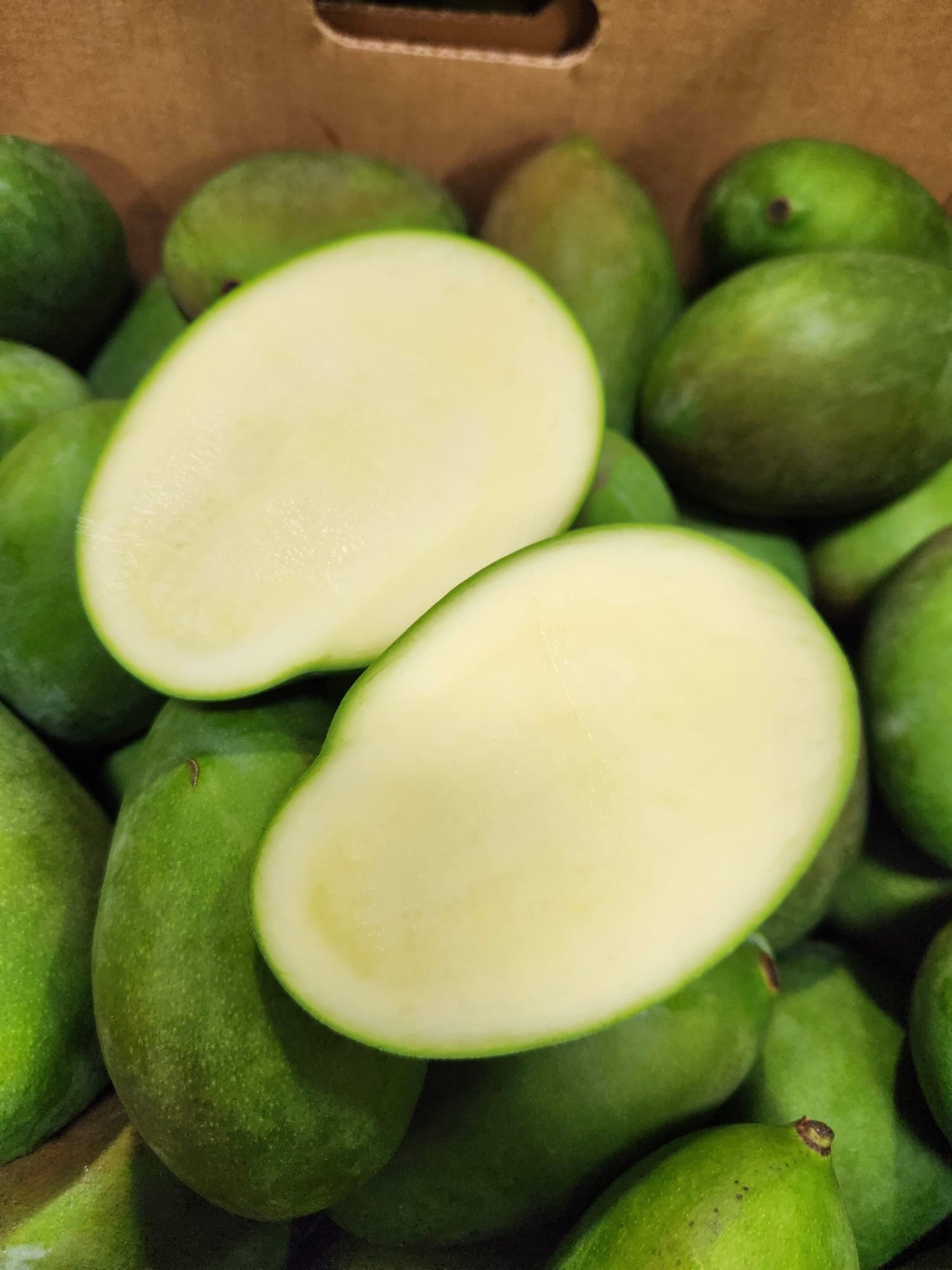 Fresh Mango သရက်သီးစိမ်း