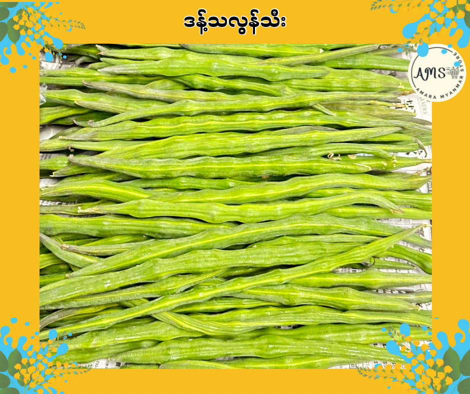 ဒန့်သလွန်သီး Drumsticks (1LB)
