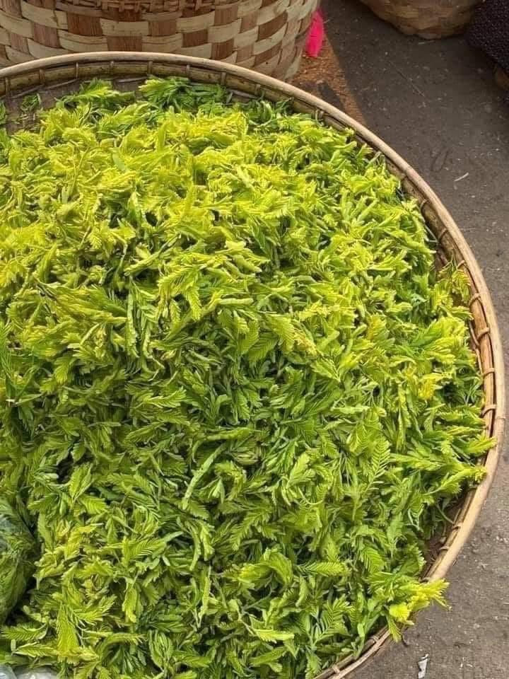 Amara အညာမန်ကျည်းချဉ် (1LB)