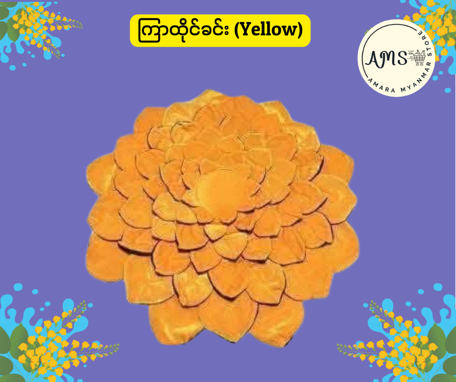 BD ကြာထိုင်ခင်း (၂၅ လက်မ)