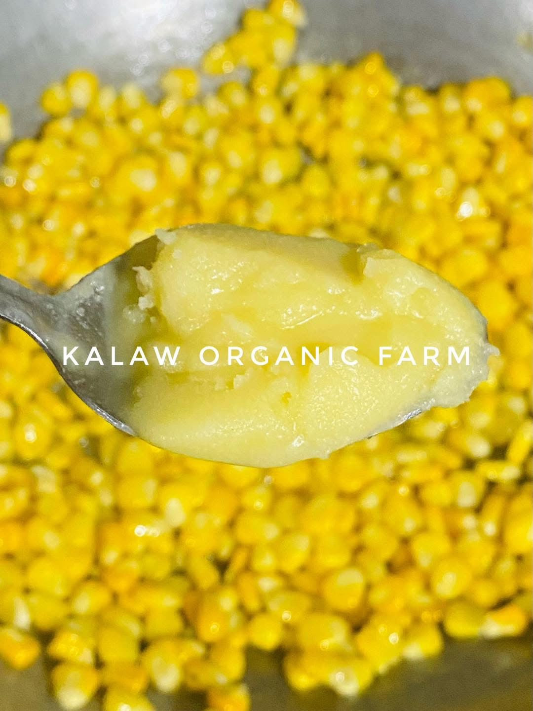 KOF GHEE ထောပတ် (350G)