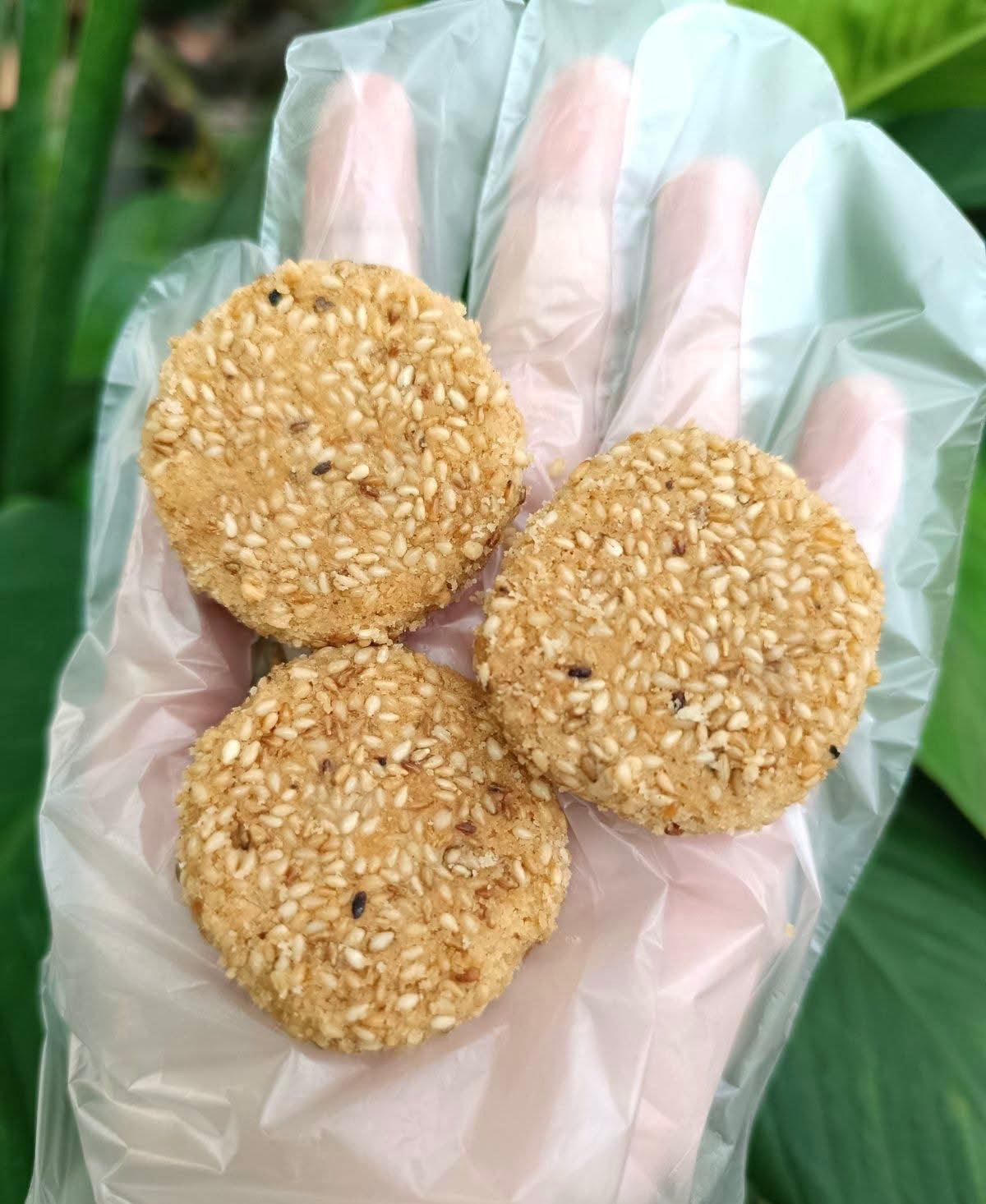 Xin Xing ဇင်ဇင်း နှမ်းမုန့်