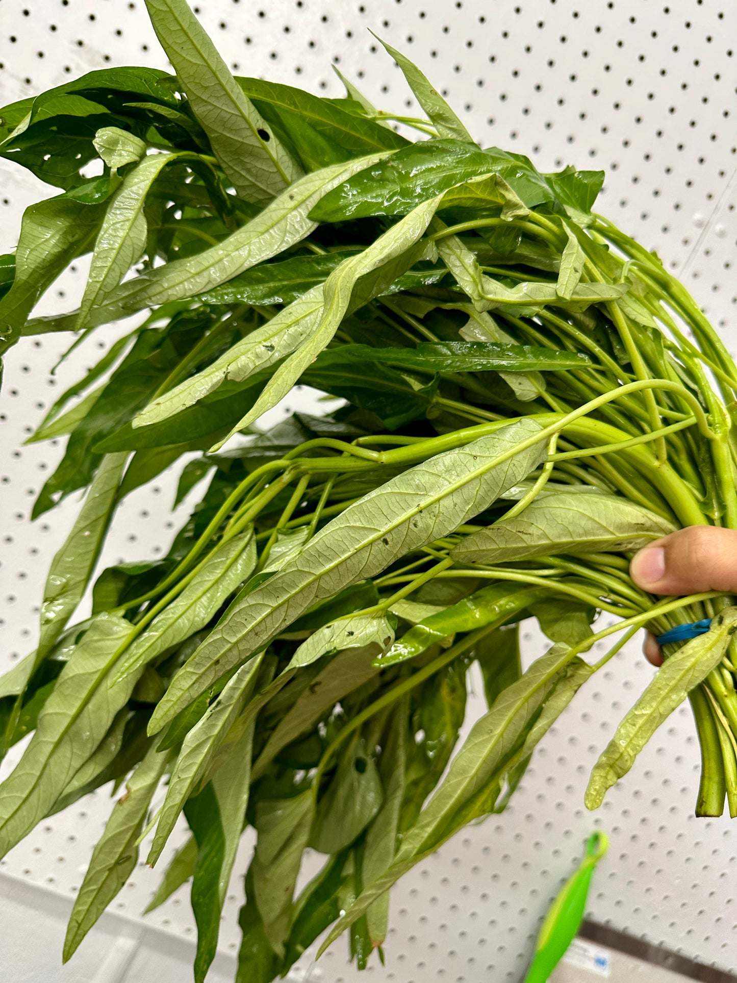 ကန်စွန်းရွက် (In Store Only)