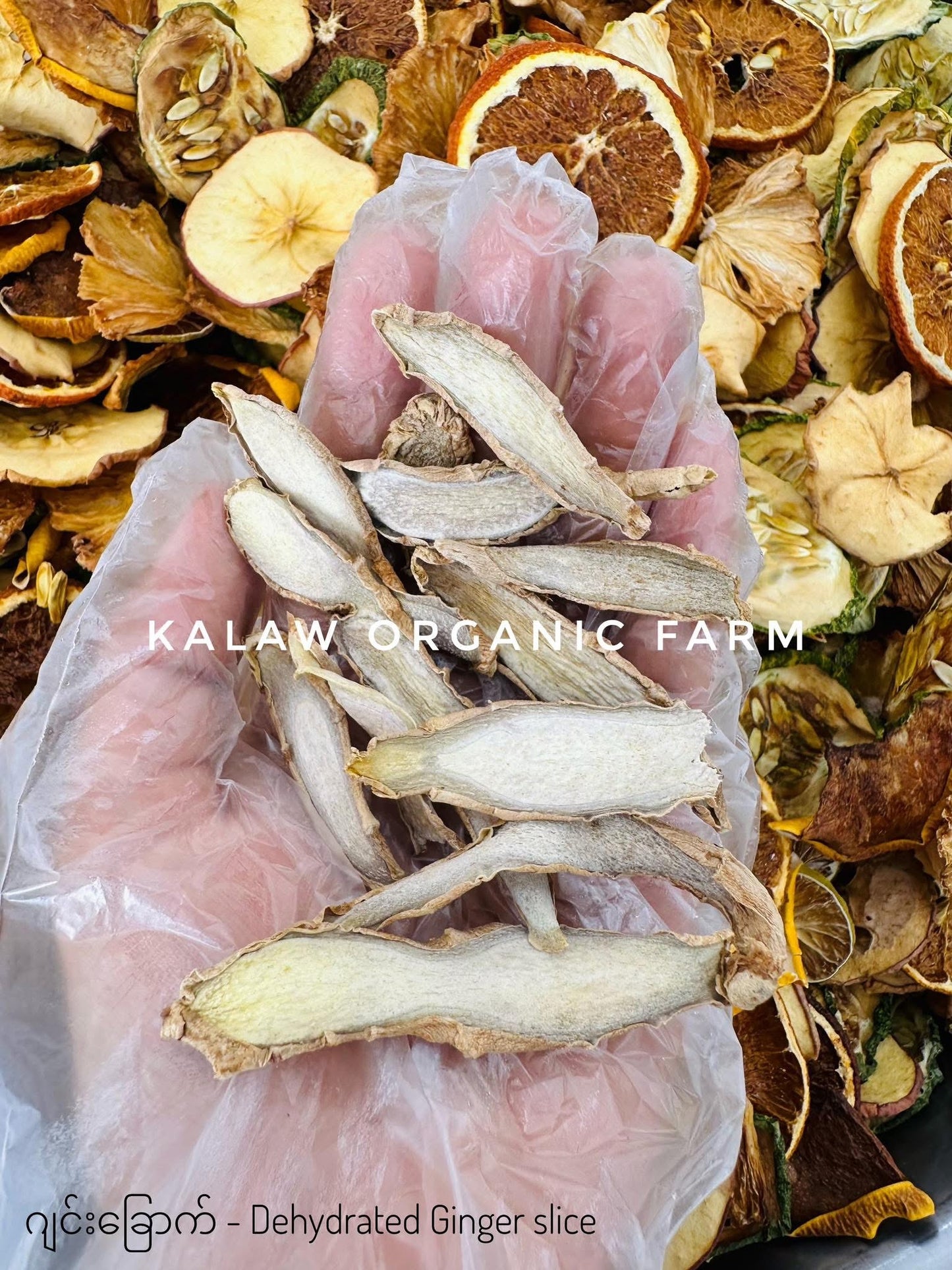 KOF Detox 10ရက်စာ အထုတ်