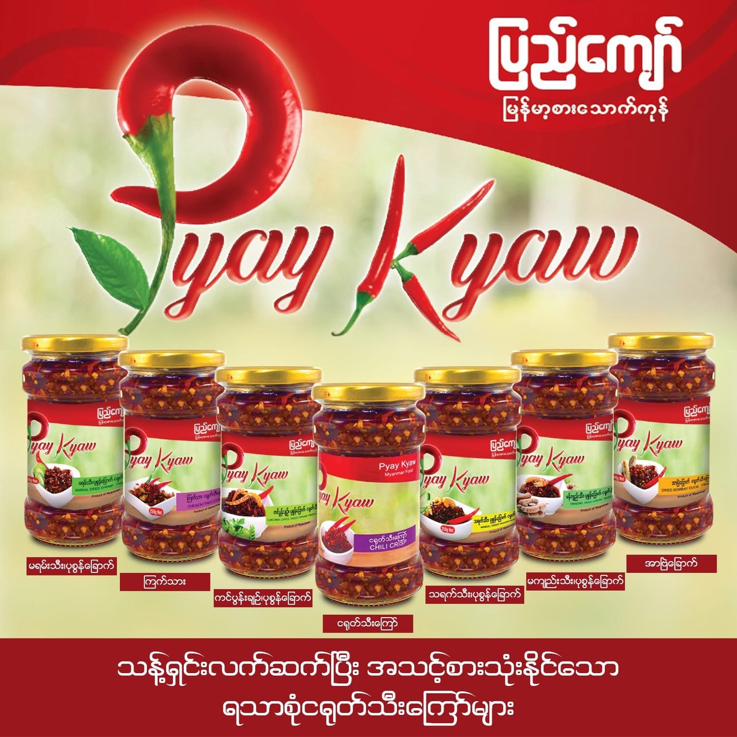 Pyay Kyaw ပြည်ကျော် ငရုတ်သီးကြော် သရက်သီး/မရမ်းသီး/မကျည်းသီး