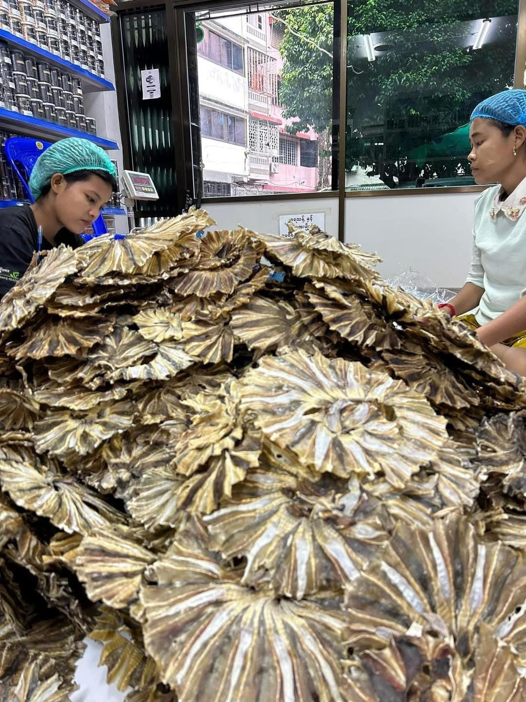 HH စမတ်ခြောက်ကြော်