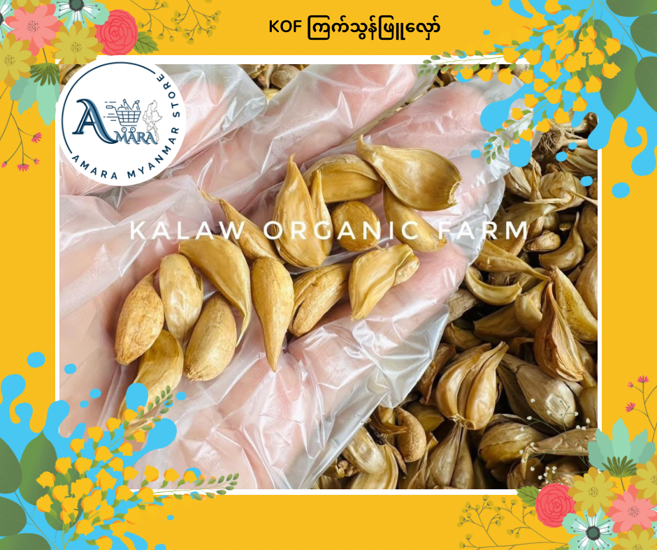 KOF ကြက်သွန်ဖြူလှော်