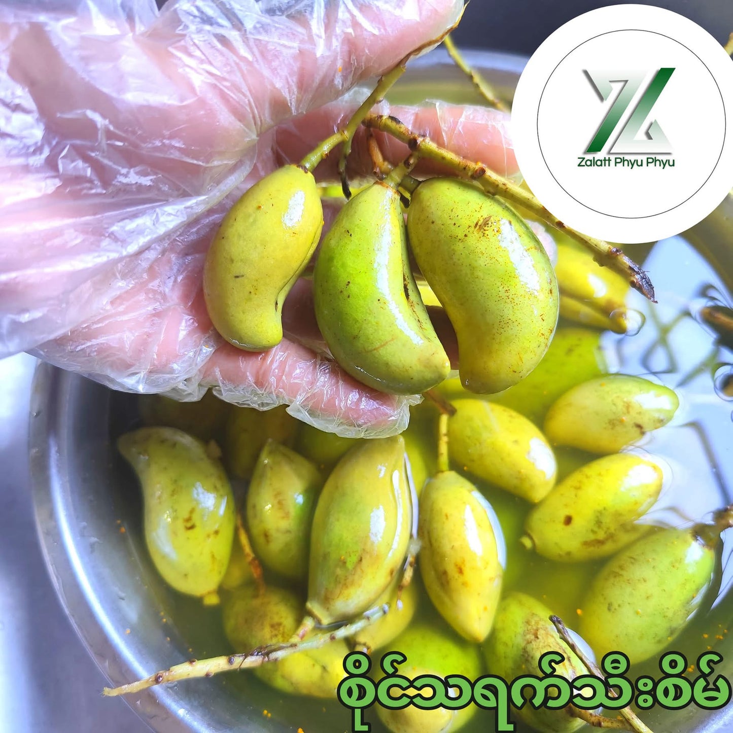 ZLPP ဇလပ်ဖြူဖြူ မြန်မာ့တို့စရာ အချဉ်စုံ (5 In 1 )