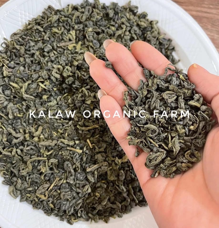KOF Organic Green Tea grade A