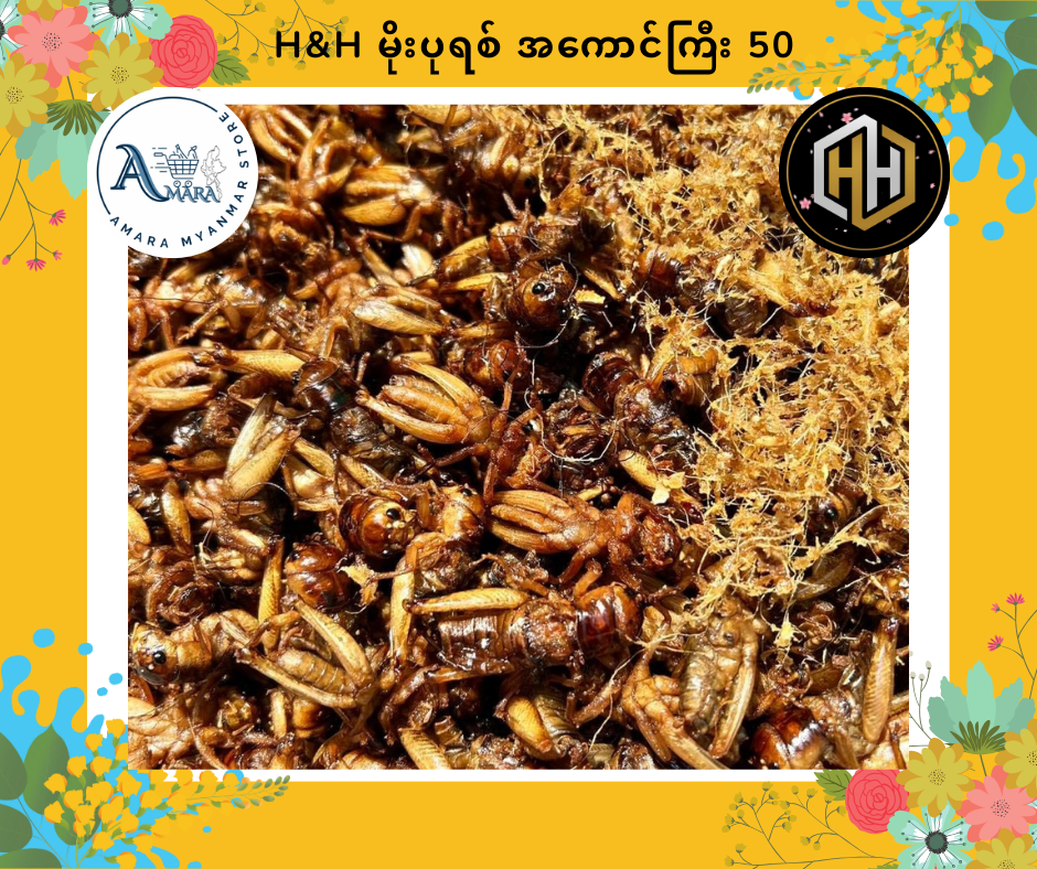 HH ပုရစ်ကြော်