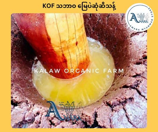 KOF သဘာဝ မြေပဲဆုံဆီသန့် (၅၀ သား)