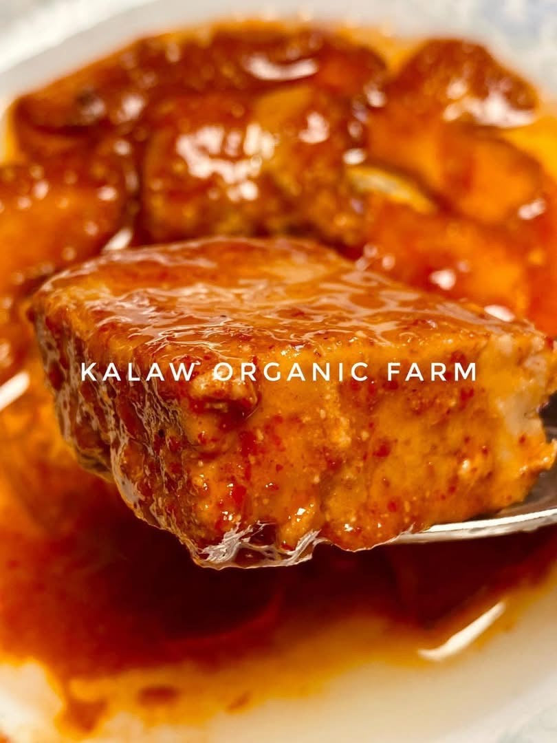 KOF နှစ်ချို့ဆီတို့ဟူး (၂တုံး)