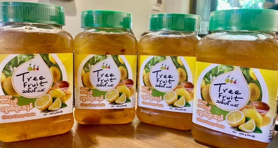 Tree Food သဘာဝ အသင့်ဖျော် ရှောက်ပျားအနှစ် 600g