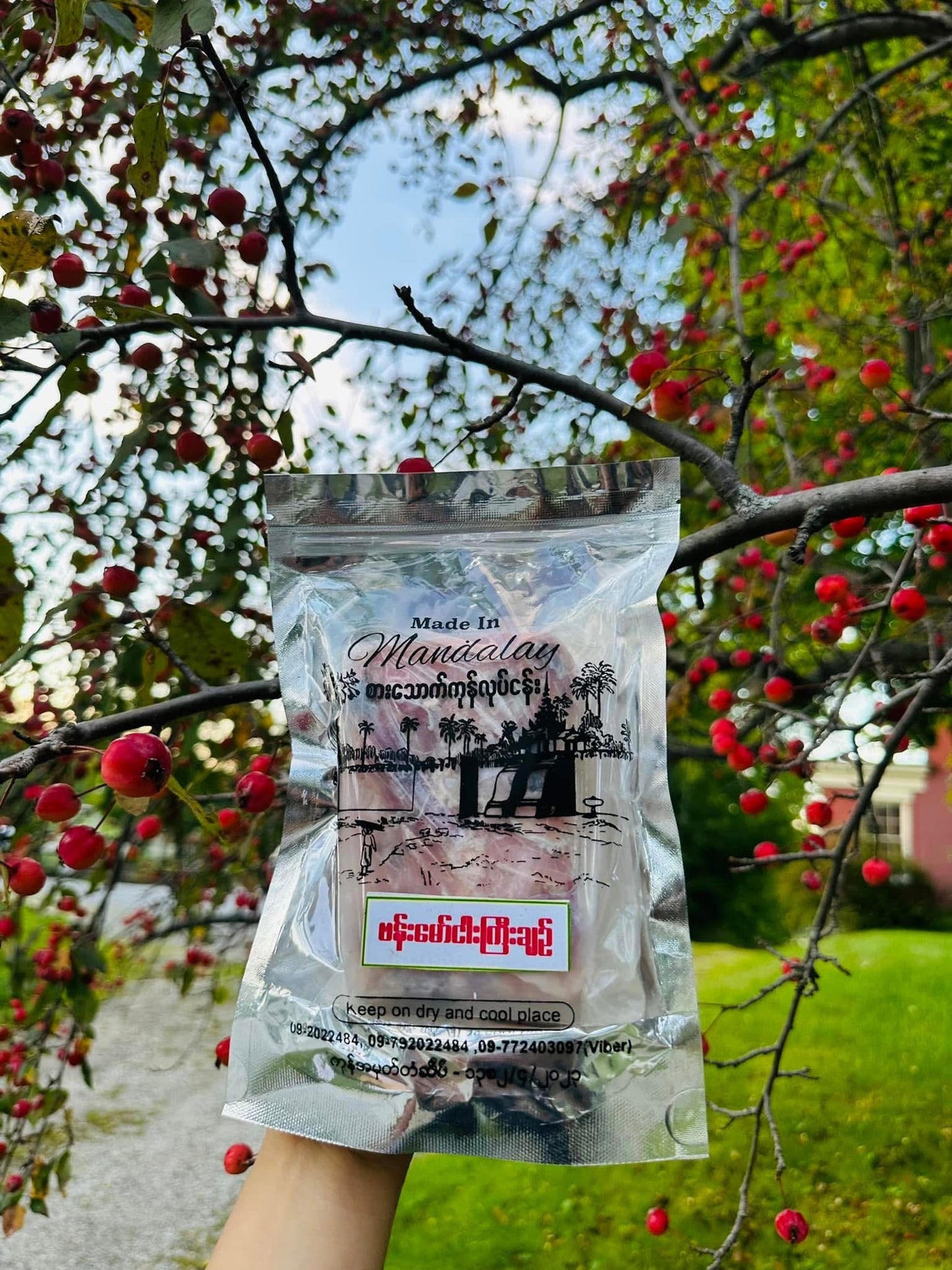 Made In Mandalay ငါးကြီးချဉ်