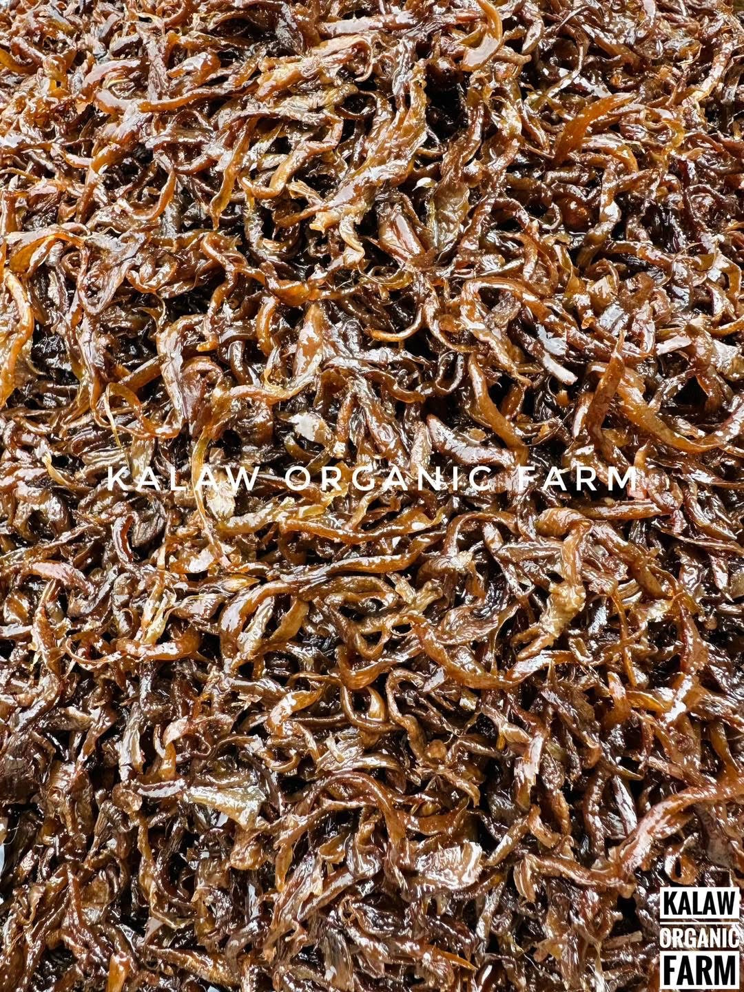 KOF မှိုဆီကြော် (အချို)