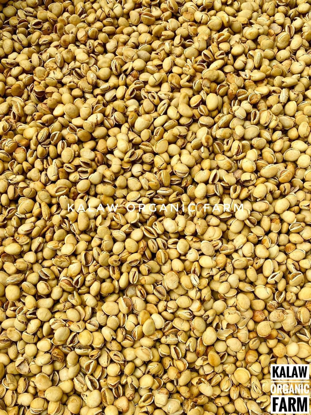 KOF ပဲကြီးလှော် 400g (၂၅ ကျပ်သား)