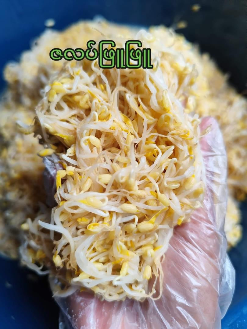 ZLPP ဇလပ်ဖြူဖြူ မြန်မာ့တို့စရာ အချဉ်စုံ (5 In 1 )
