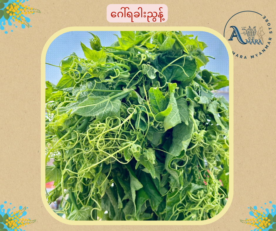 ဂေါ်ရခါးညွန့် (In Store Only)