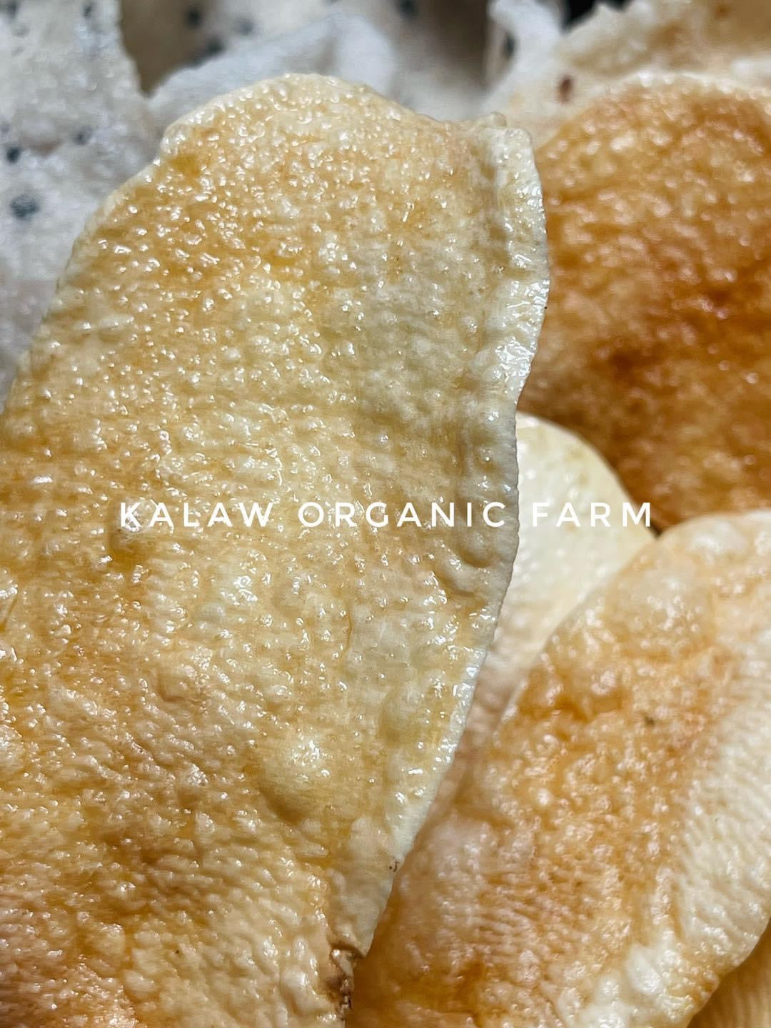 KOF အာလူးခြောက်