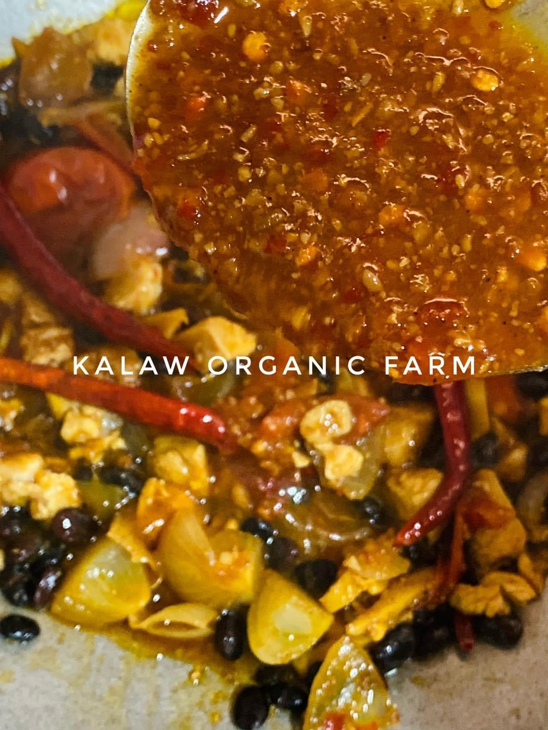 KOF ပဲငပိအနှစ်(400g)