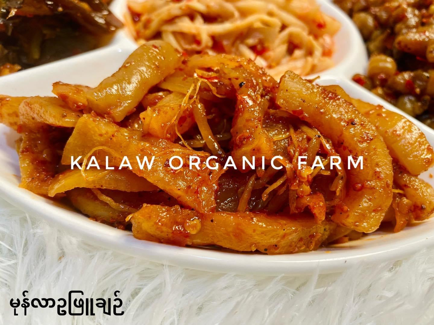 KOF မုန်လာဥချဉ် 480g