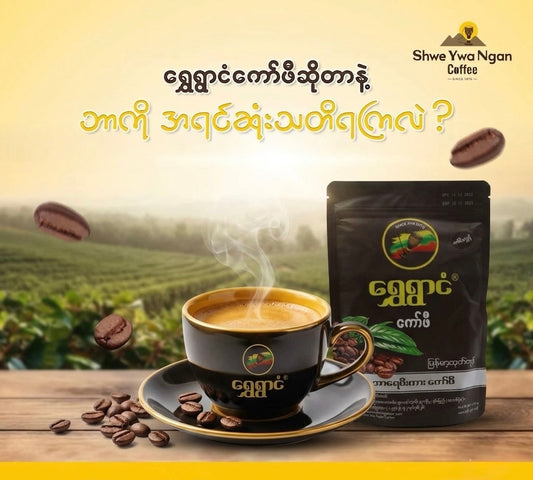 SYN ရွှေရွာငံ ကော်ဖီ 200g