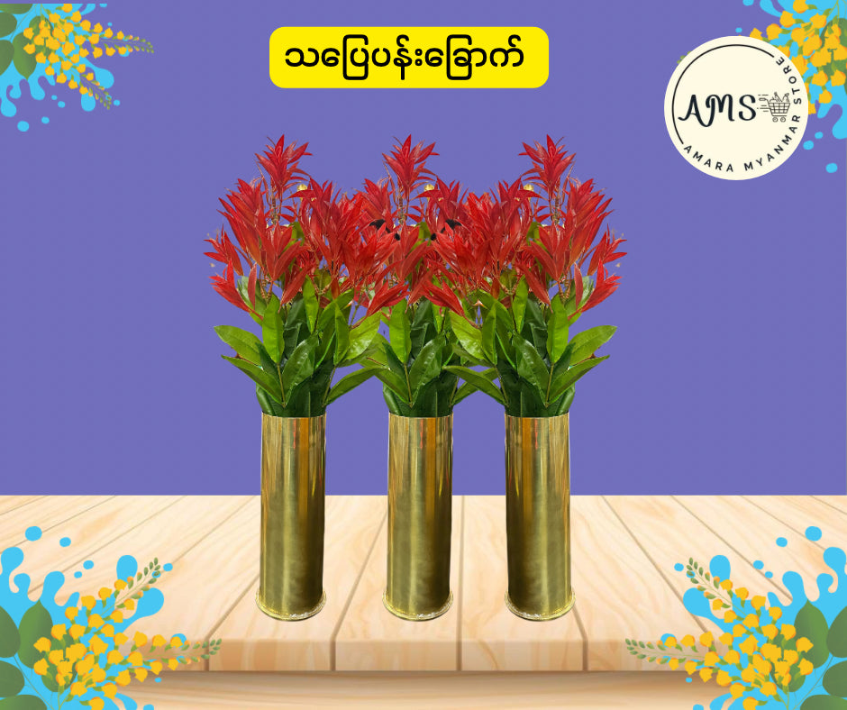BD သပြေပန်းခြောက်
