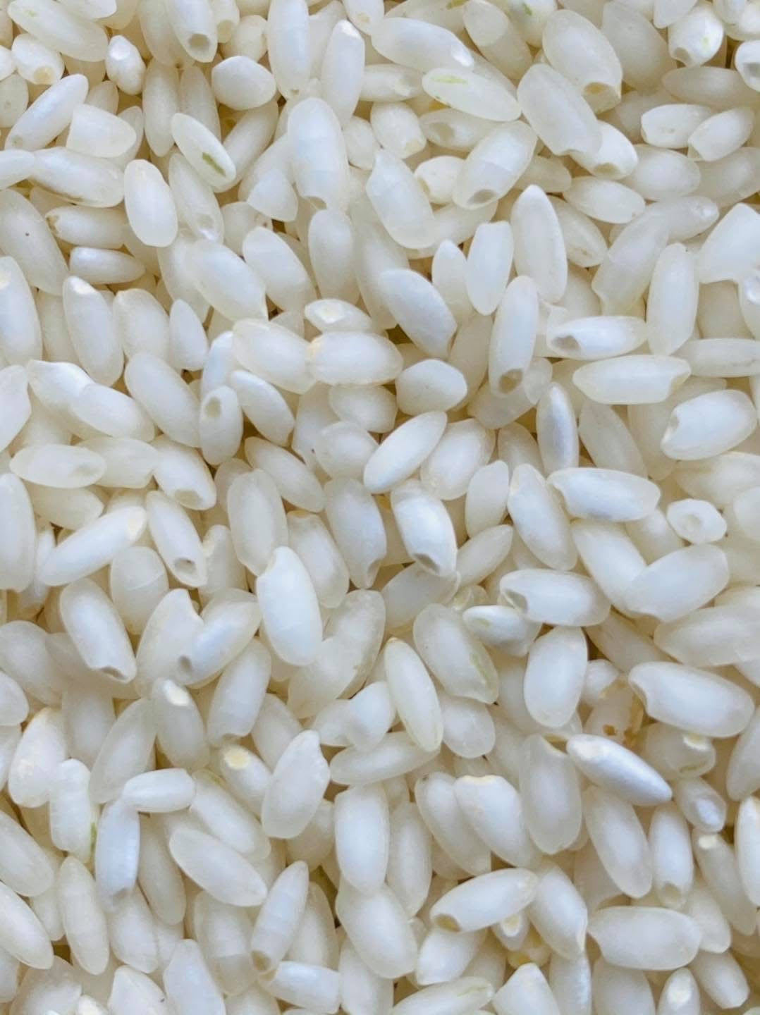 TT ရွှေဘို ပေါ်ဆန်းမွှေး (2Kg)