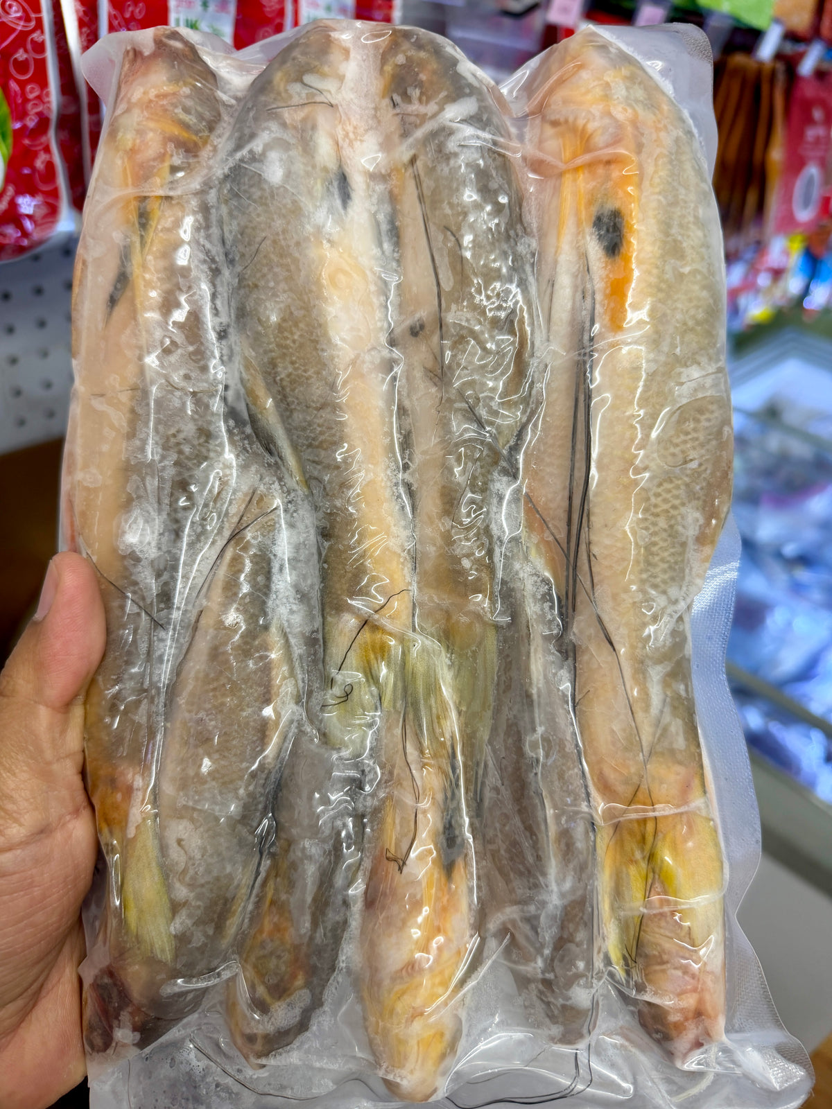 Goat Fish ငါးပုဏ္ဏား 2LB/Pack (အထုတ်ကြီး)