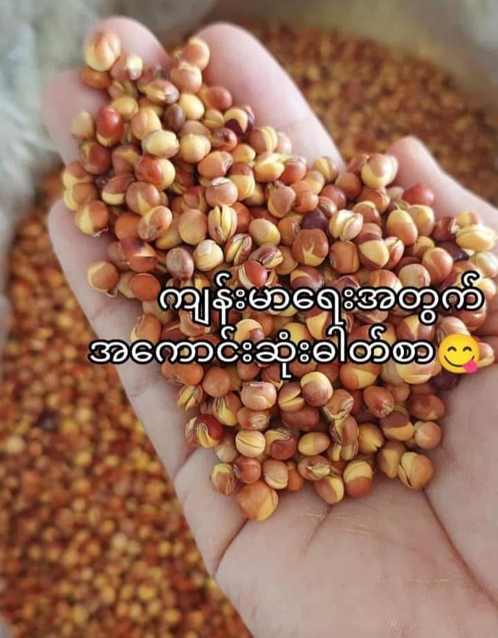 MMM မမမြ ပဲစဉ်းငုံလှော်