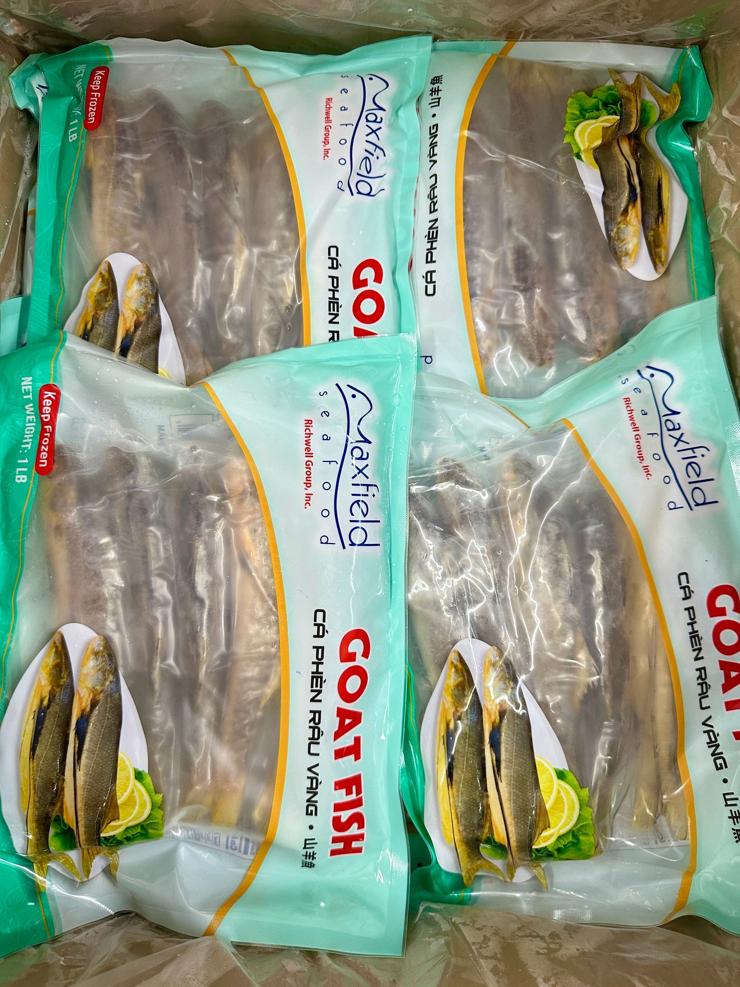 Goat Fish ငါးပုဏ္ဏား (1LB)