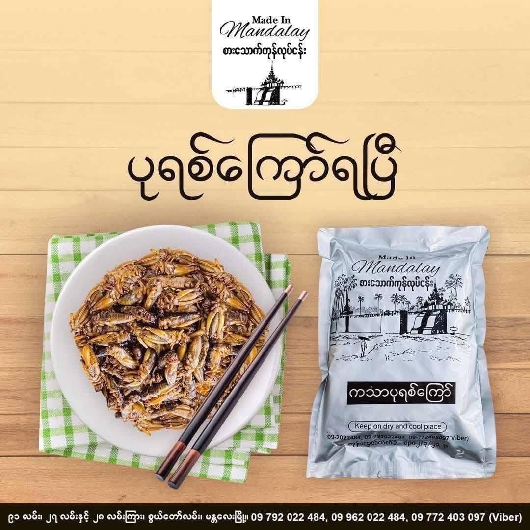 Made In Mandalay အထီး/အမ အရော ပုရစ်ကြော်