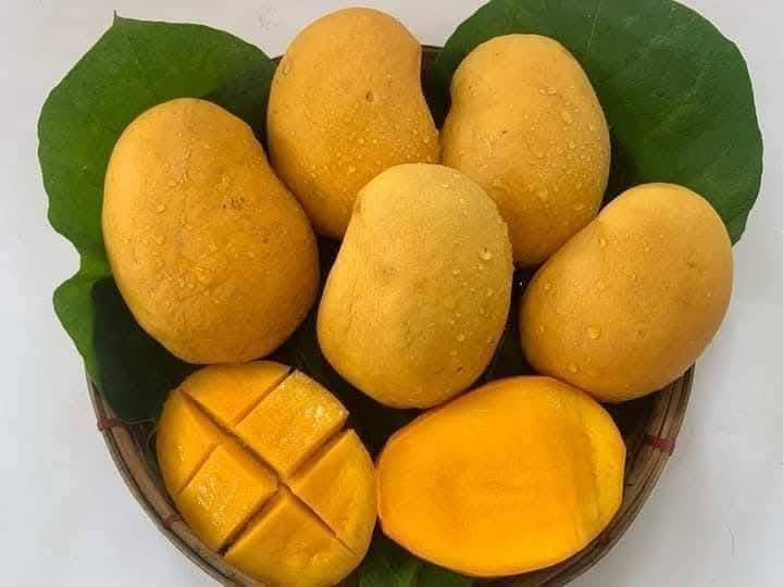 KOF စိန်တလုံး သရက်ပြင် 400g