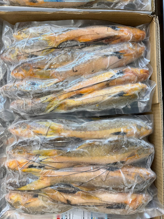 Goat Fish ငါးပုဏ္ဏား 2LB/Pack (အထုတ်ကြီး)