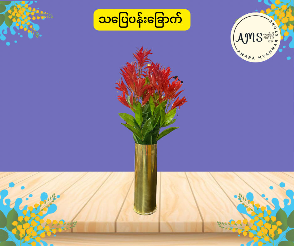 BD သပြေပန်းခြောက်