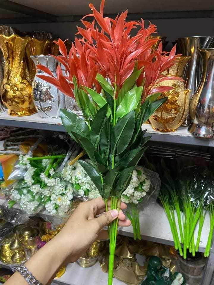 BD သပြေပန်းခြောက်