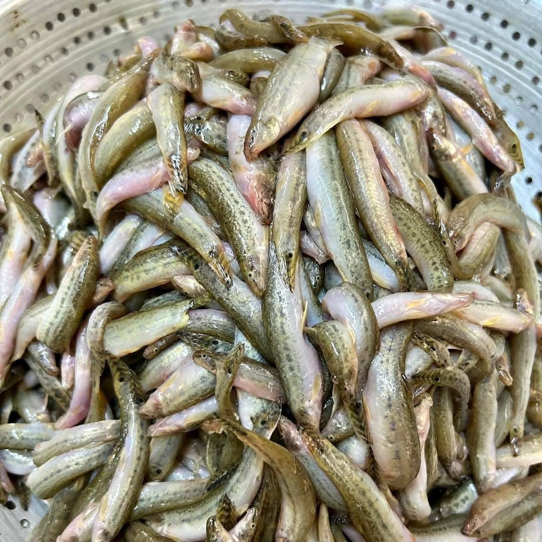 HH ငါးသလဲထိုးကြော် 160g