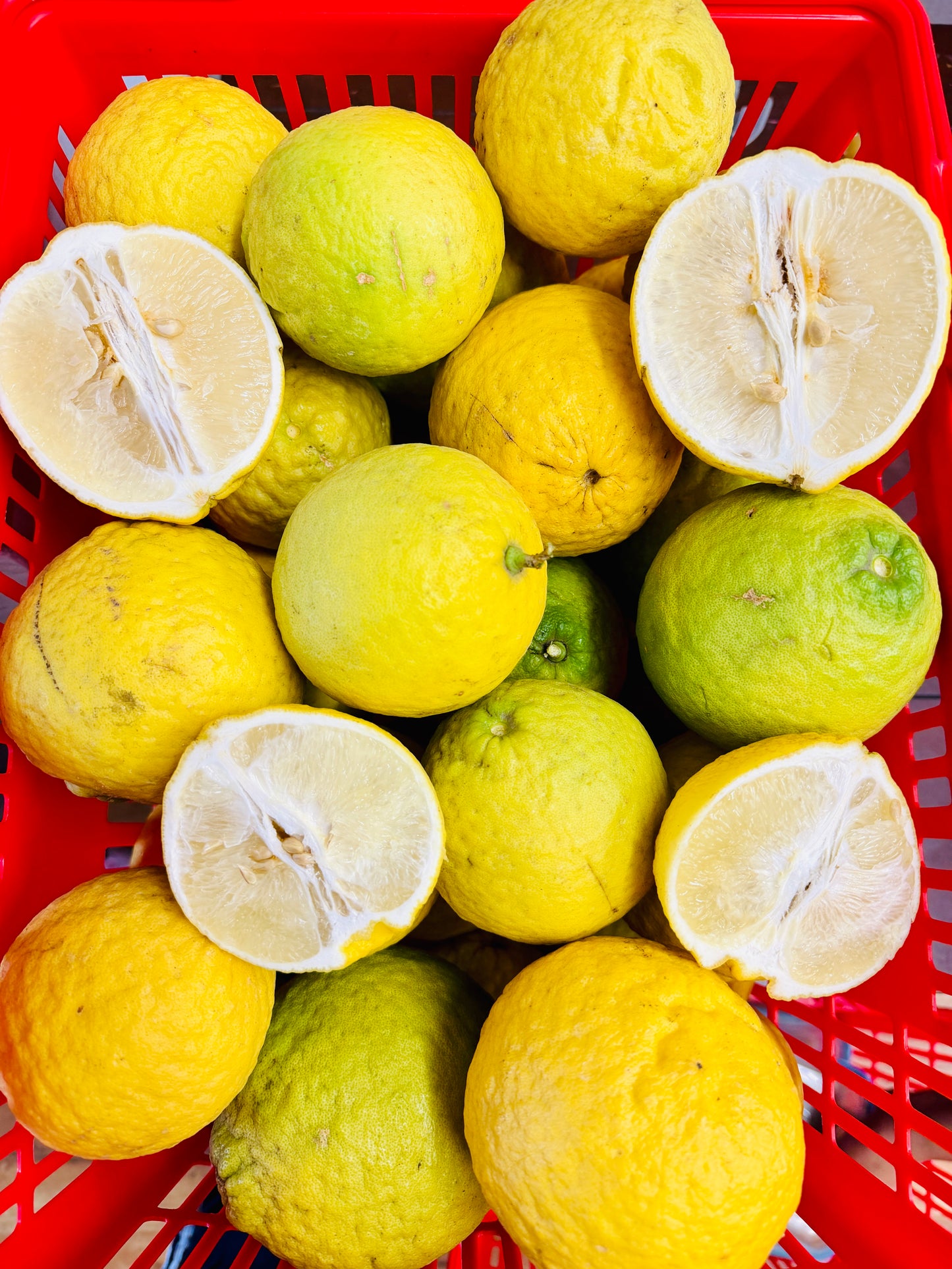 မြန်မာ ရှောက်သီး (Citrus)
